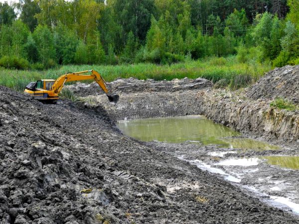 Fish Pond Digging in Delaware