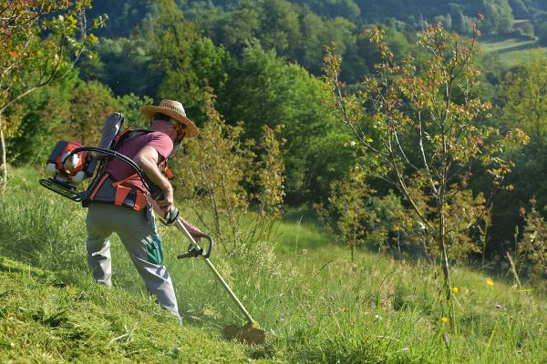 Slope Trimming in Delaware